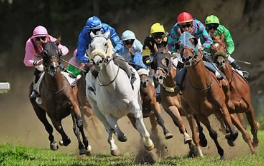 Learn How to Bet and Win