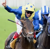Learn How to Bet and Win